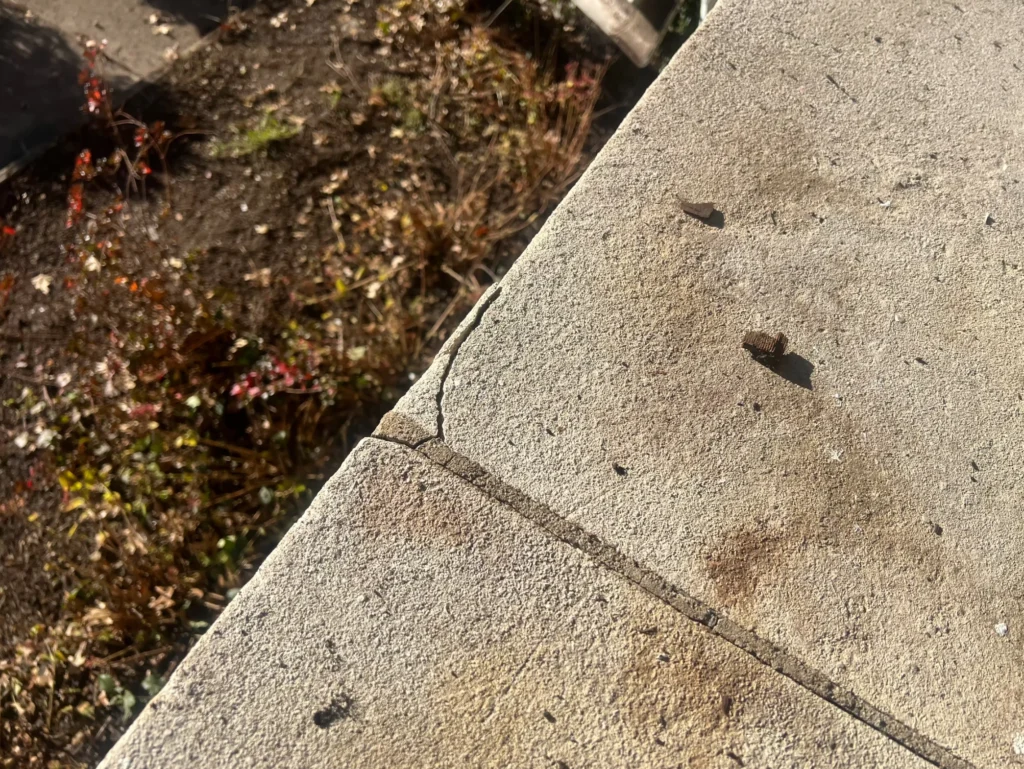 screenshot 2025 10 20 at 21.27.53